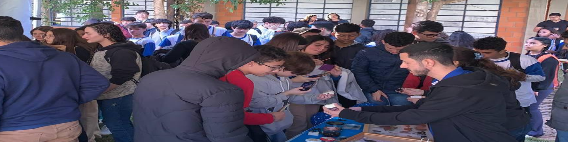 Lagoa do sino de porteiras abertas